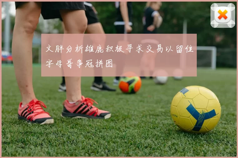 文胖分析雄鹿积极寻求交易以留住字母哥争冠拼图
